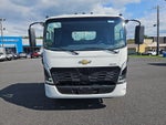 2025 Chevrolet Low Cab Forward 5500 XD MED ASH GRAY