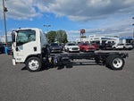 2025 Chevrolet Low Cab Forward 5500 XD MED ASH GRAY