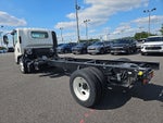 2025 Chevrolet Low Cab Forward 5500 XD MED ASH GRAY